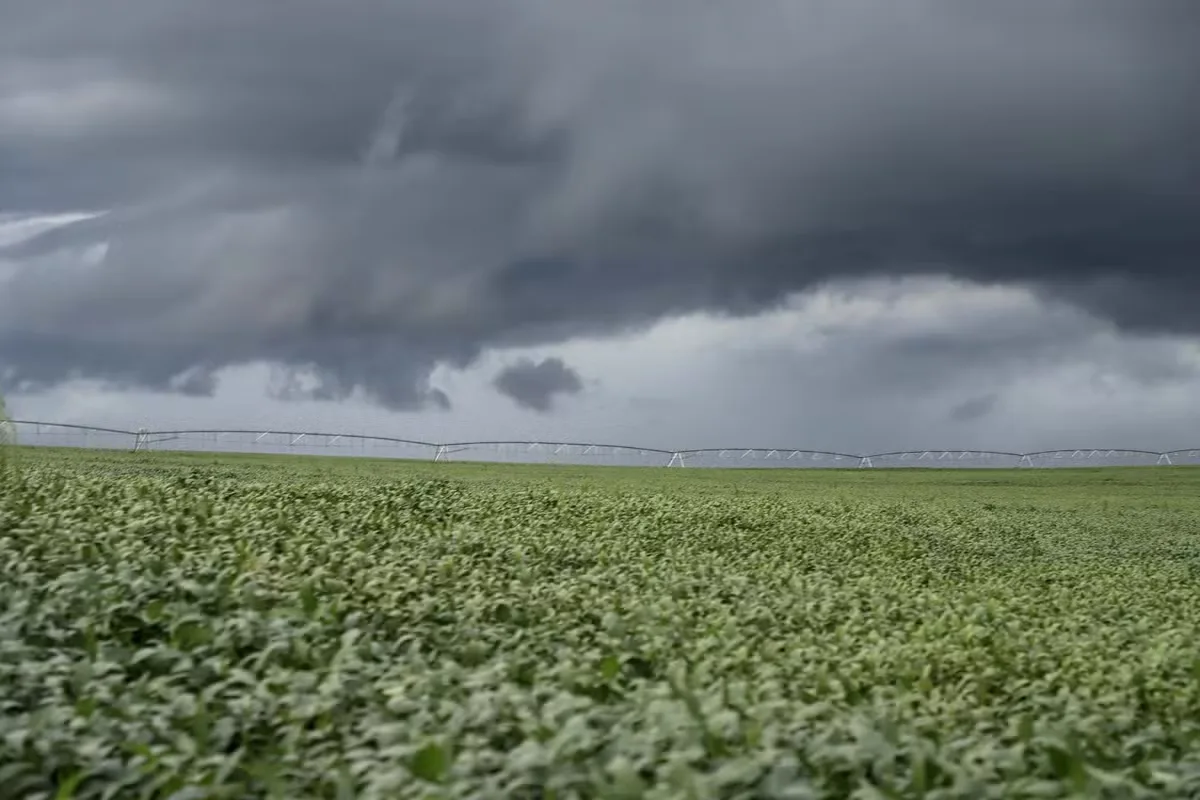El Niño altera previsão de chuva e temperatura no Brasil em outubro