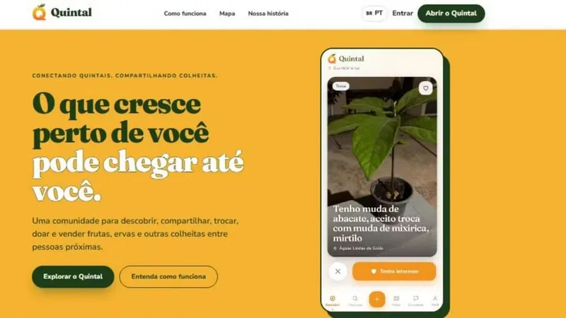Plataforma conecta pessoas para vender, trocar e doar frutas e hortaliças
