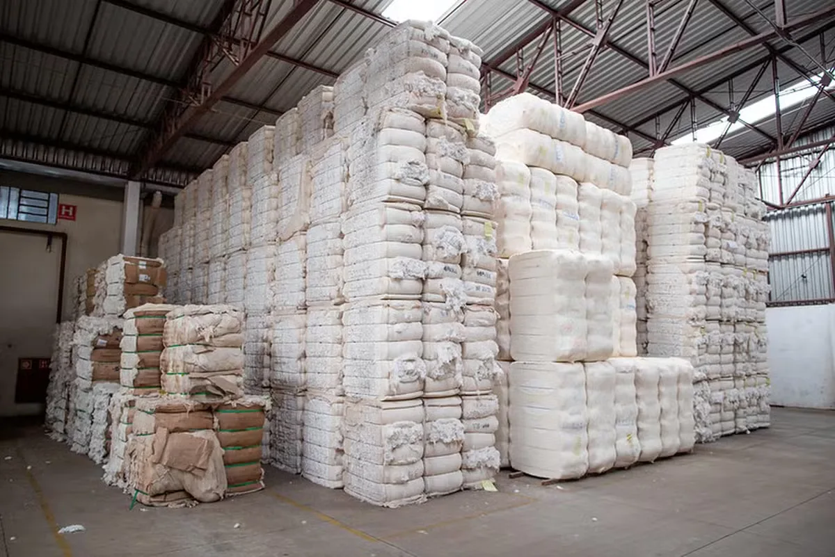 Brasil supera 2 milhões de toneladas de algodão exportadas até agosto