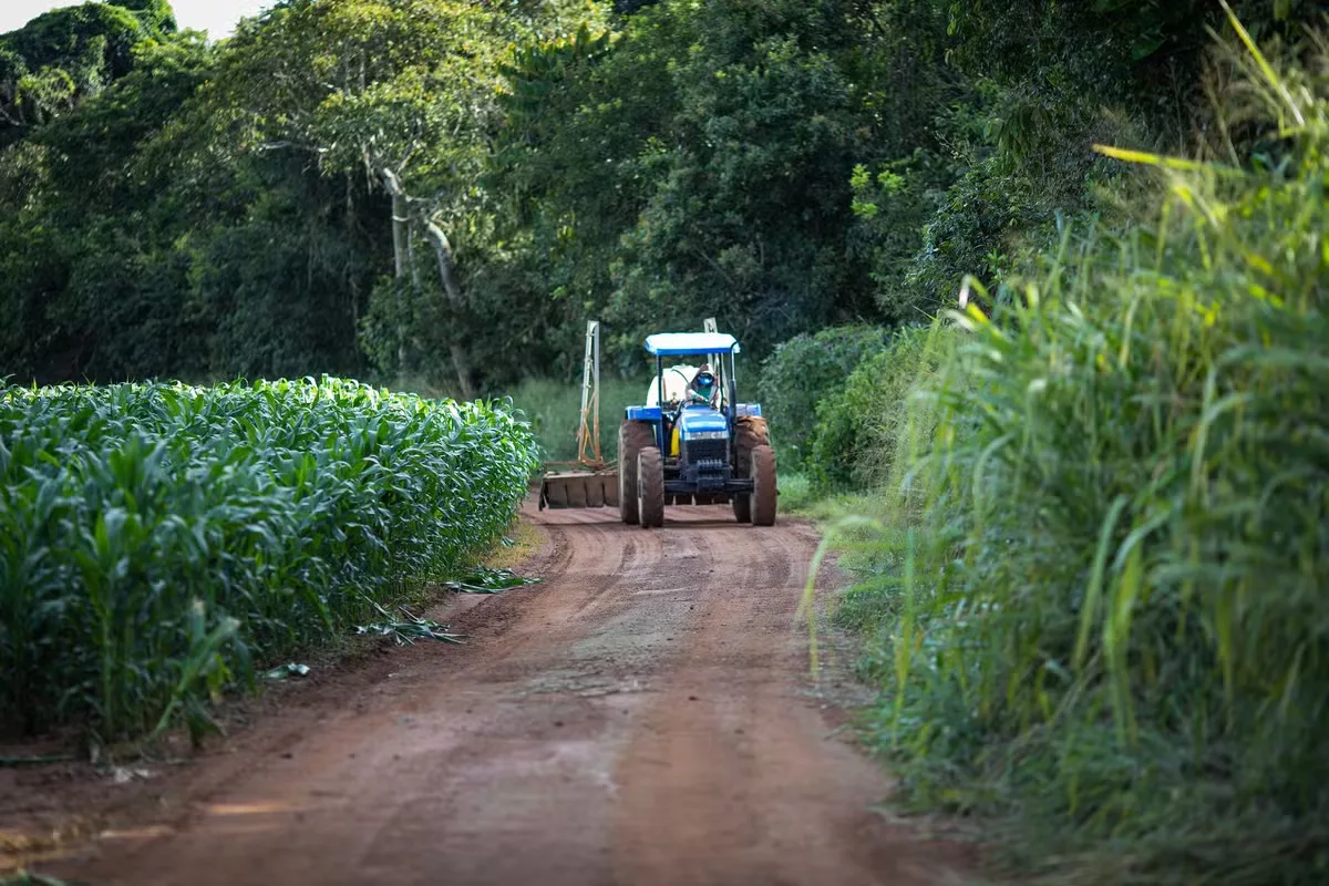 Agricultura pede desbloqueio de R$ 461,7 milhões para seguro rural