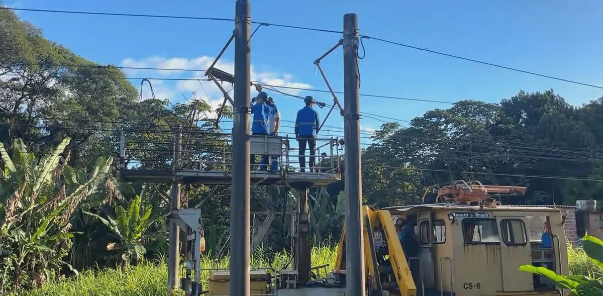 Queda de árvore fecha Linha Centro do Metrô do Recife nesta quinta-feira