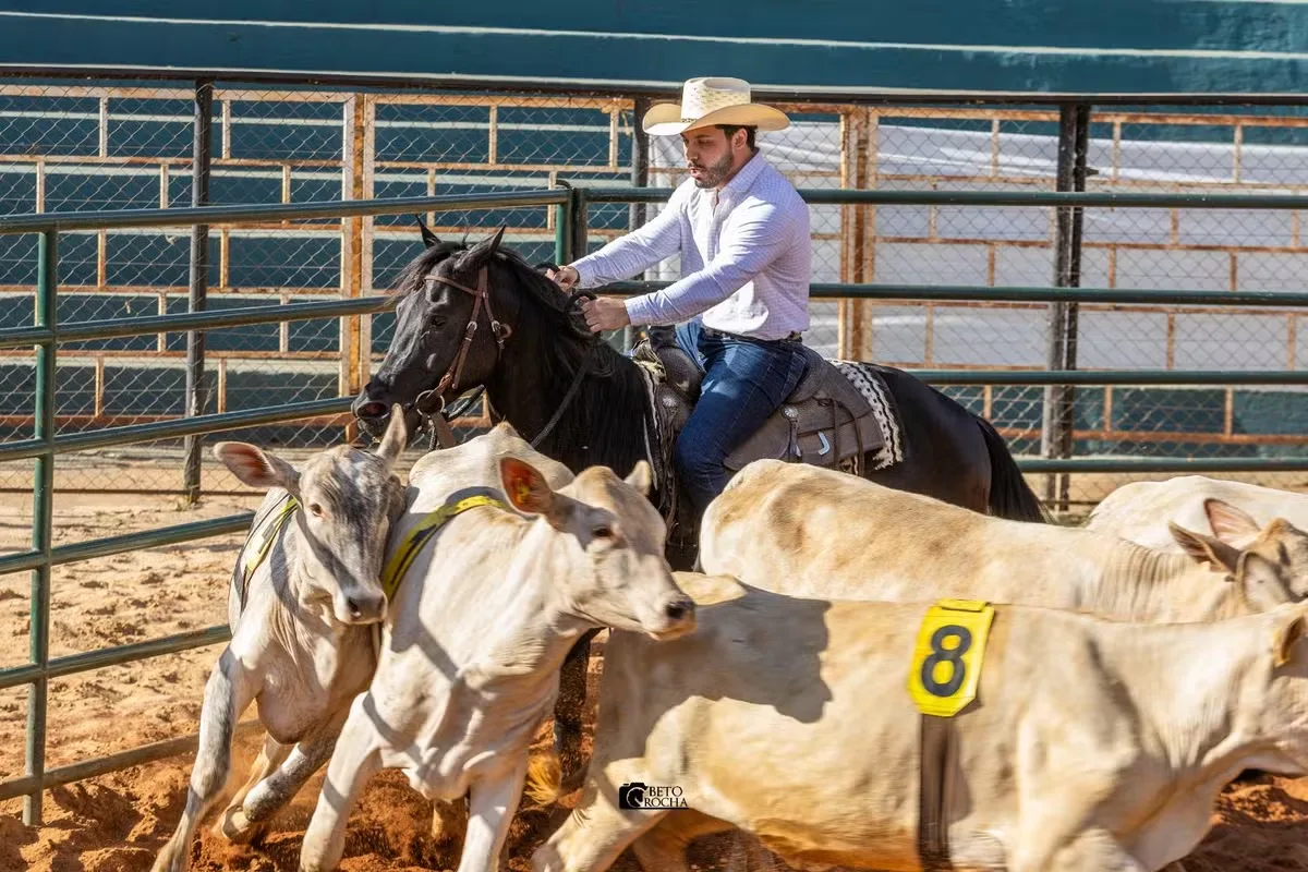 Murilo Huff participa pela primeira vez de prova de Ranch Sorting