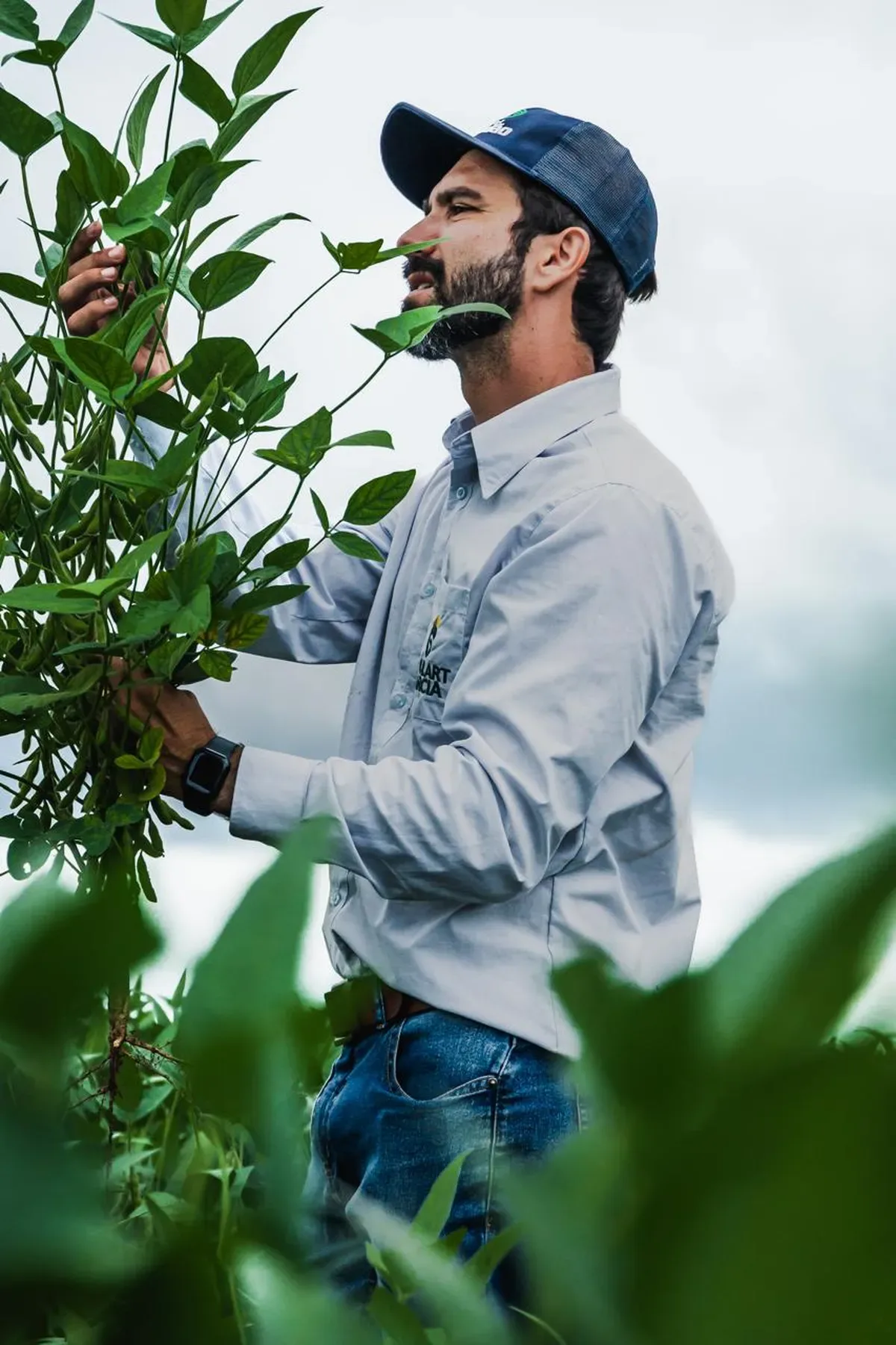 Área de soja deve ficar estável, mas produtividade sustenta expectativa de recorde