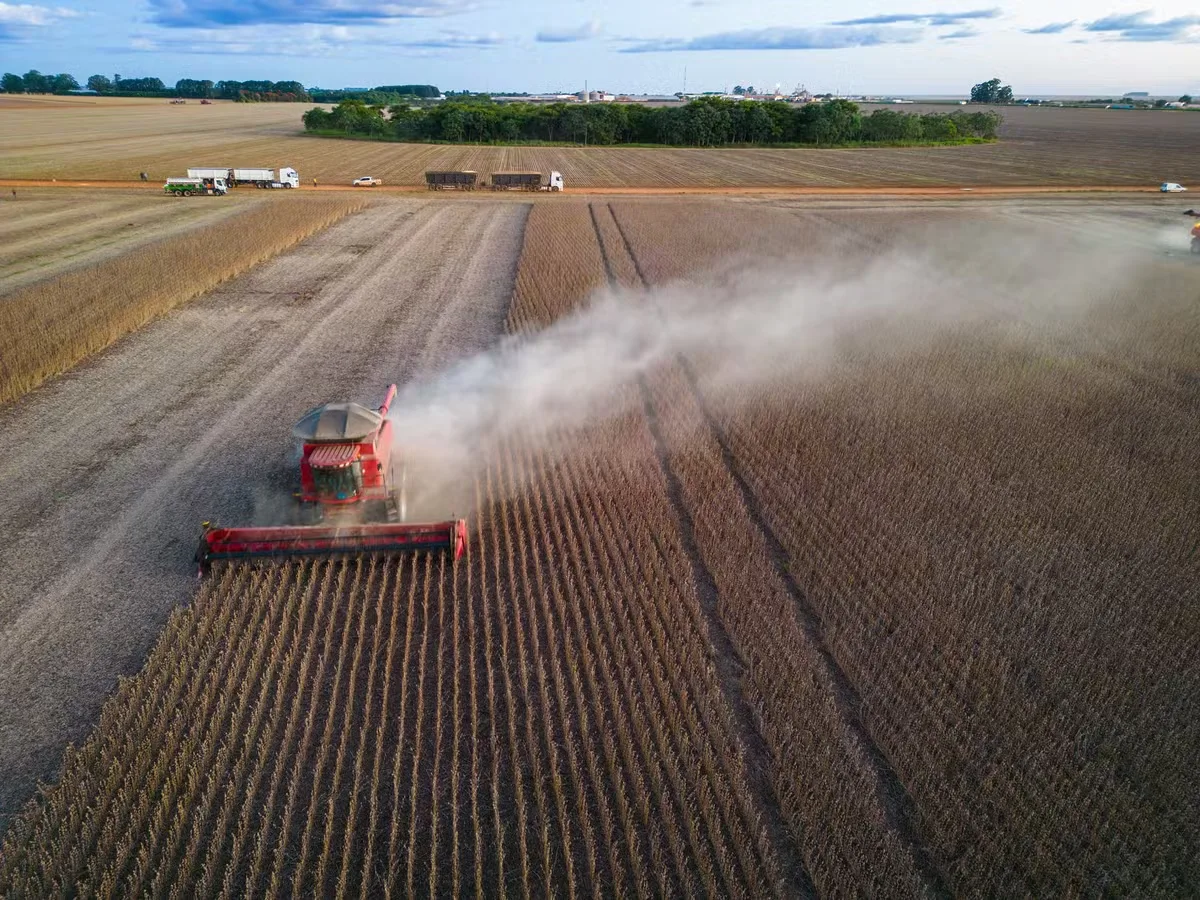 Produção agrícola alcança R$ 927,2 bilhões no país em 2025