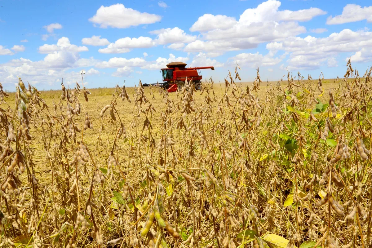 Produção agropecuária é estimada em R$ 1,403 trilhão no mês de agosto
