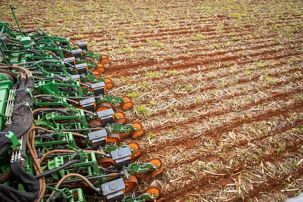 Oeste e Médio-Norte lideram avanço da soja em Mato Grosso