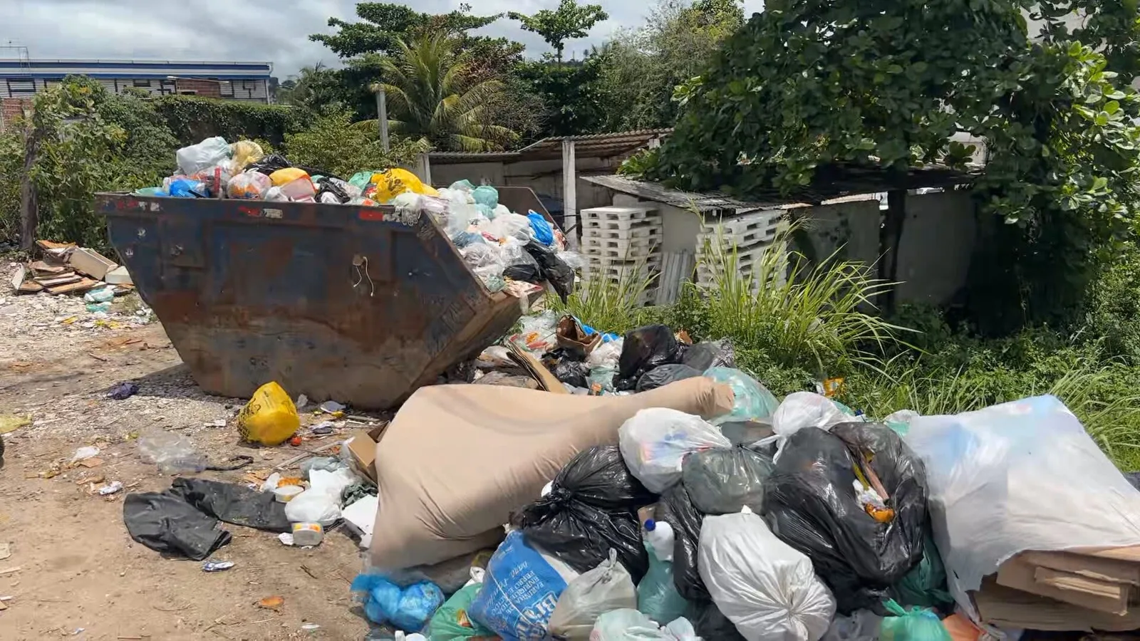Corpo de feto é localizado em caçamba às margens da BR-408
