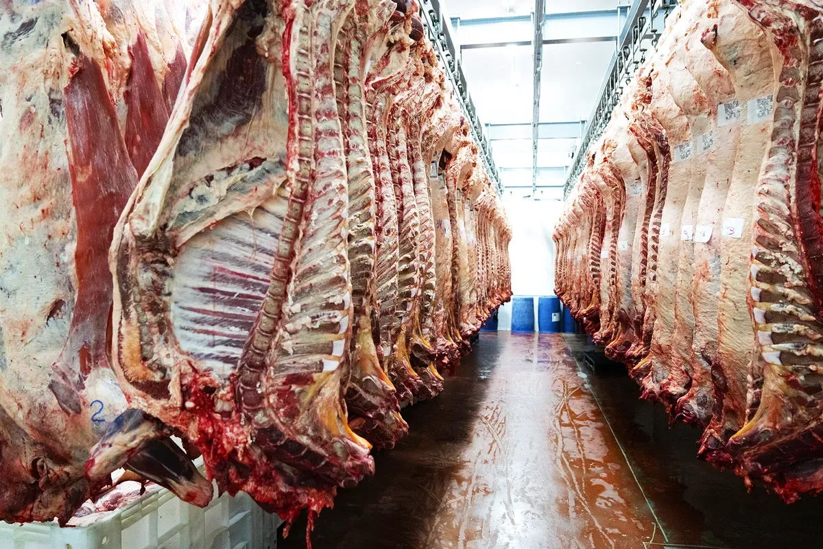 Abiec vê impacto restrito de eventual cota uruguaia para carne na China