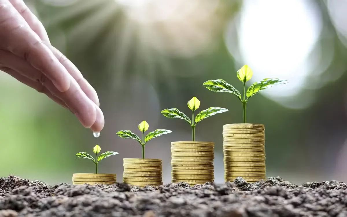 Cooperativas liberam R$ 18,5 bilhões e assumem liderança no crédito rural