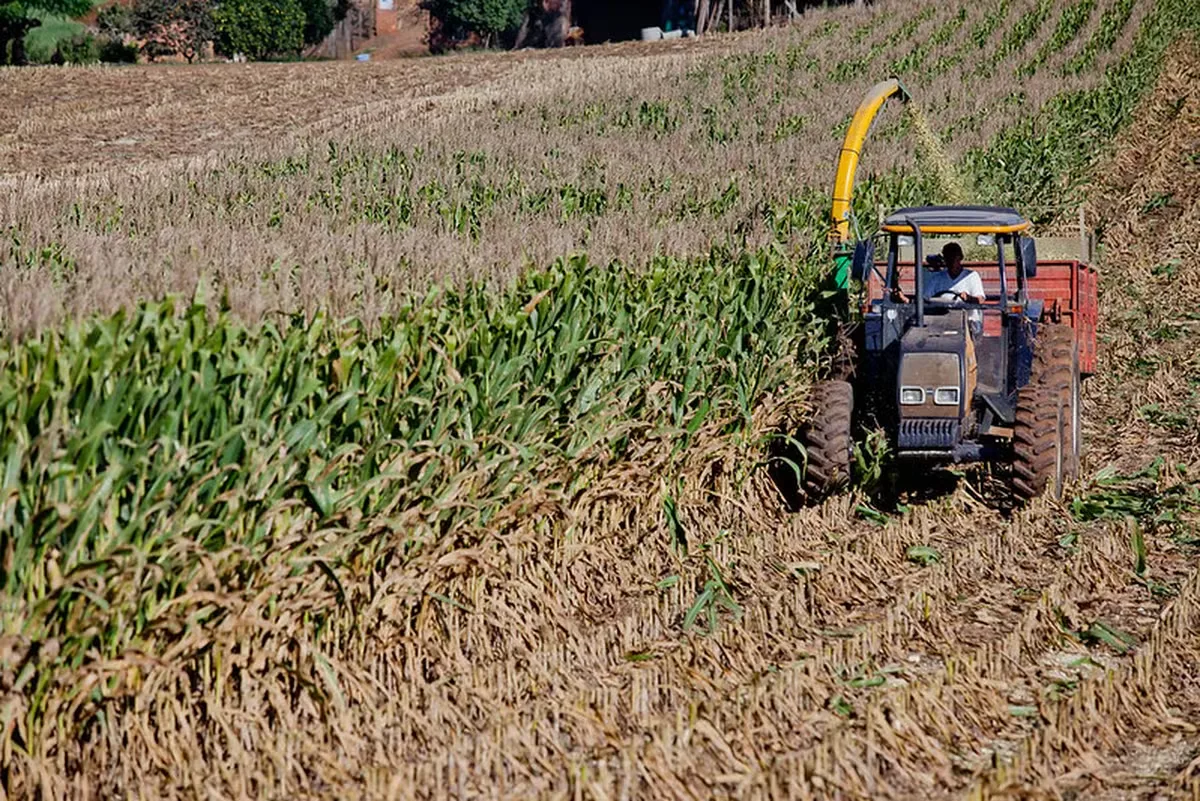 Juros da renegociação rural variam de 5% a 12% ao ano sob nova MP