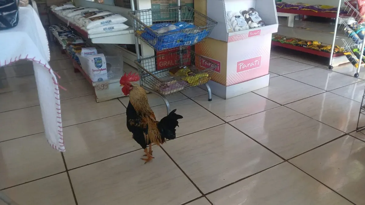 Garnizé acompanha clientes e recepciona compras em minimercado de Santa Catarina