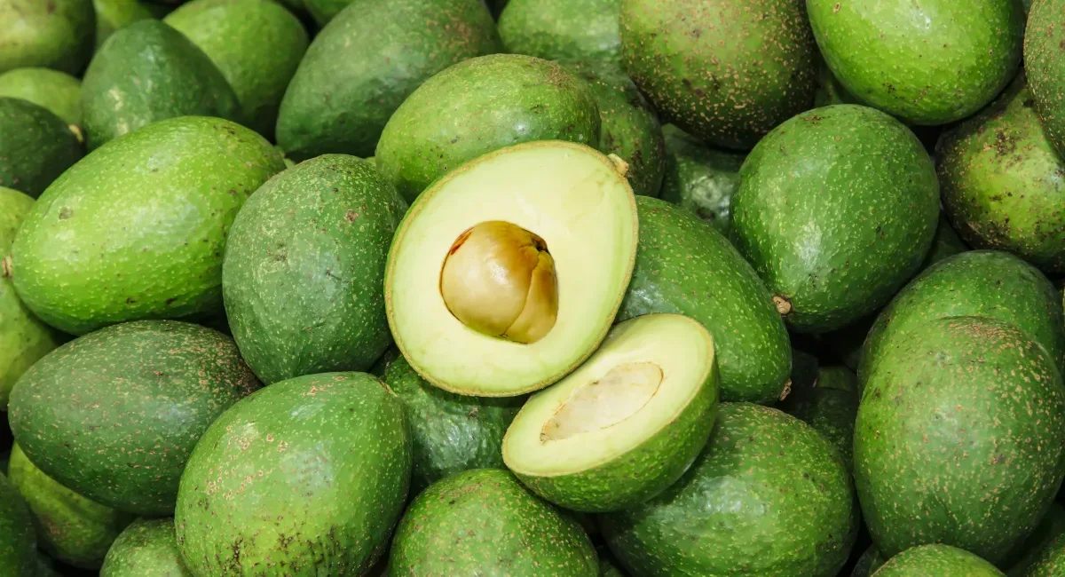 Ceagesp destaca frutas com oferta prevista para outubro